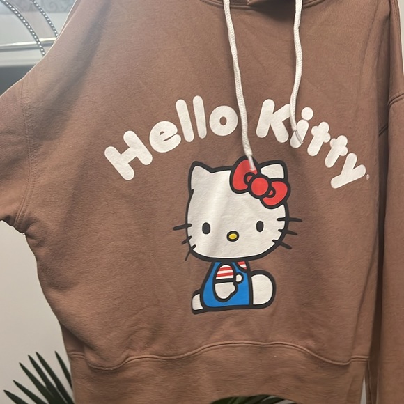 Brown Hello Kitty Sweater - Picture 2 of 4